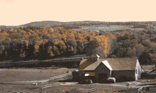 unsere Farm